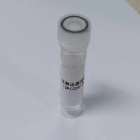 过表达基因慢病毒包装