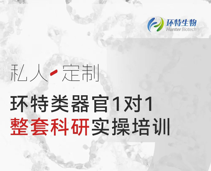 私人定制丨2023环特类器官1对1整套科研实操培训即将开始！