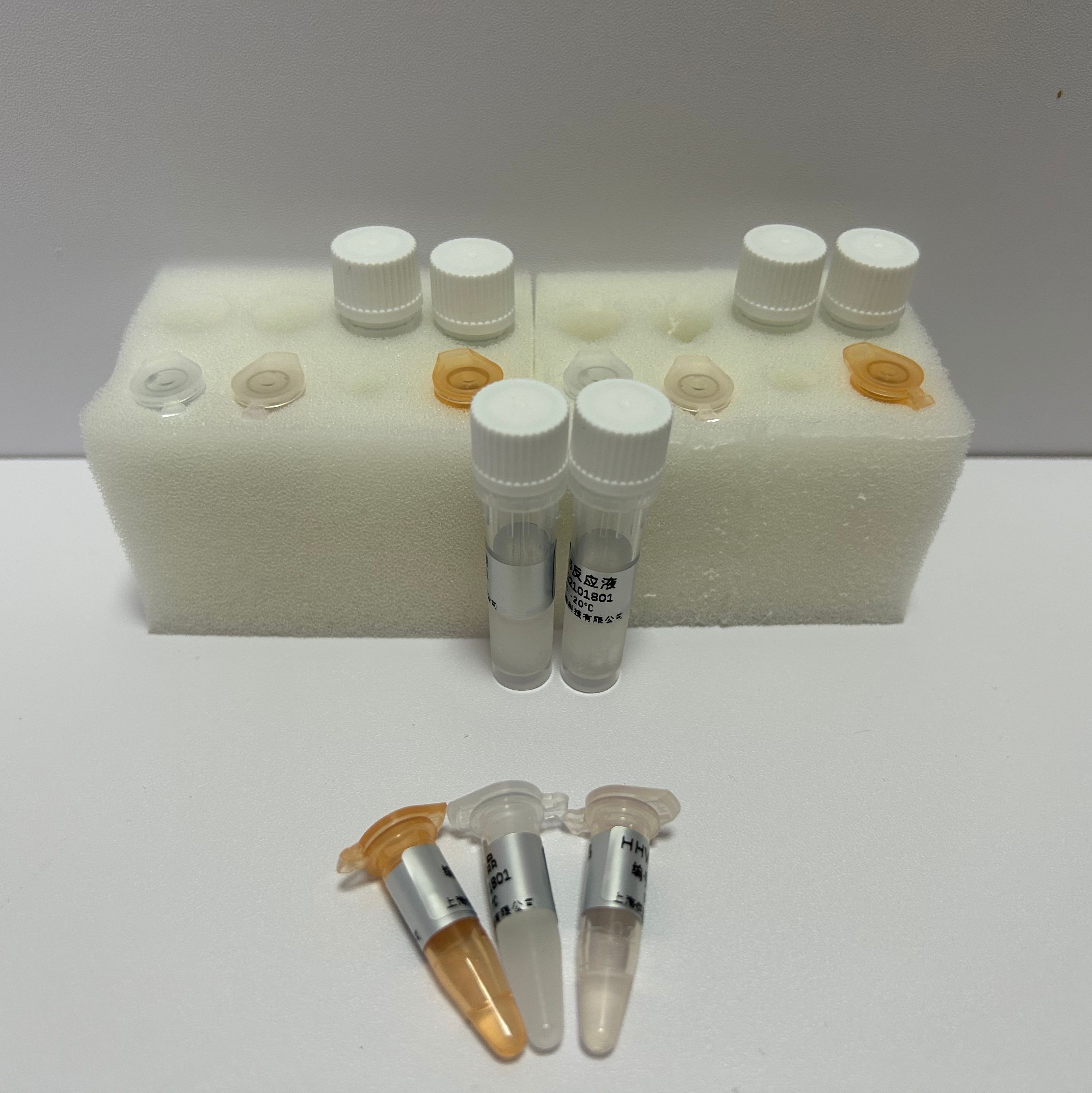 豚鼠源性成分染料法荧光定量PCR试剂盒