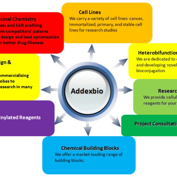 Addexbio FHs 74 Int cells细胞
