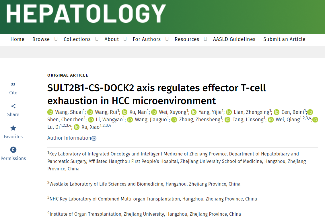 Hepatology| 浙江大学医学院徐骁教授团队利用多组学技术研究肝细胞癌微环境中DOCK2相关信号通路的作用