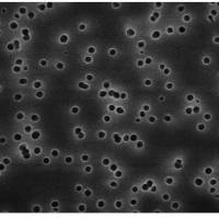 尼龙网滤膜，NY1004700