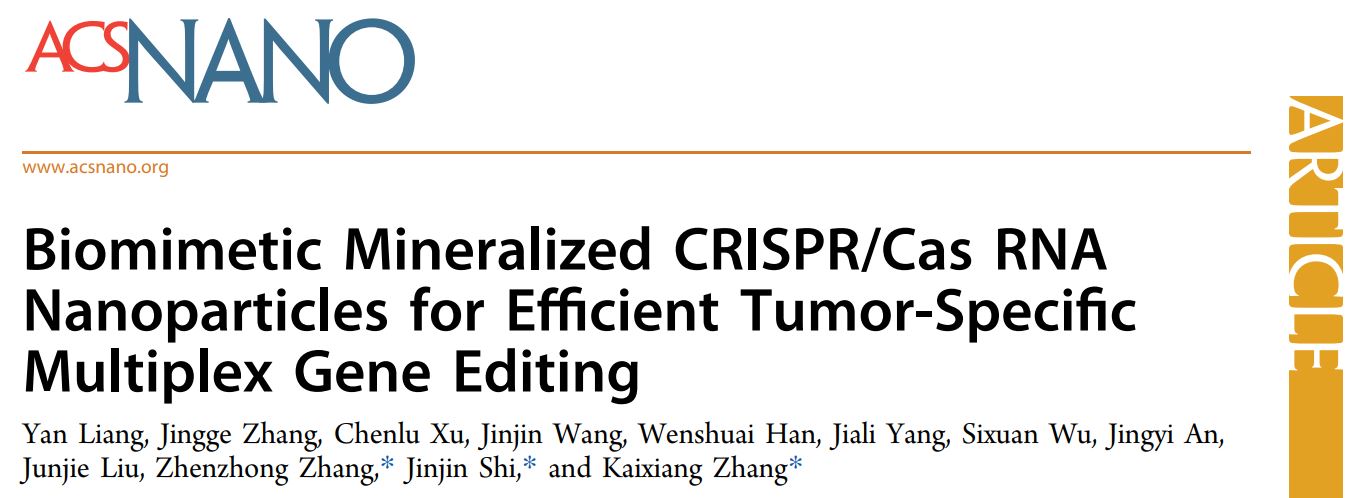 【文献解读】ACSNANO: 仿生矿化纳米颗粒搭载CRISPR/Cas技术实现肿瘤特异性多重基因编辑