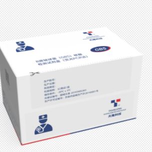 B族链球菌(GBS)核酸检测试剂盒(荧光PCR法)