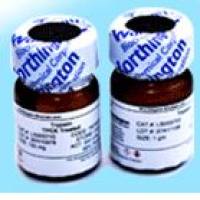 α1-微球蛋白,Bikunin/AMBP Protein