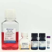 间充质干细胞成脂诱导分化试剂套装