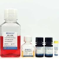 间充质干细胞成骨诱导分化试剂套装