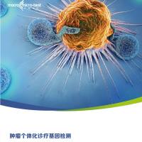 肿瘤个体化诊疗基因检测