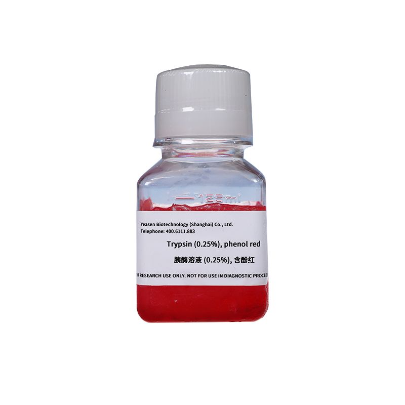 胰酶溶液（0.25%），含酚红