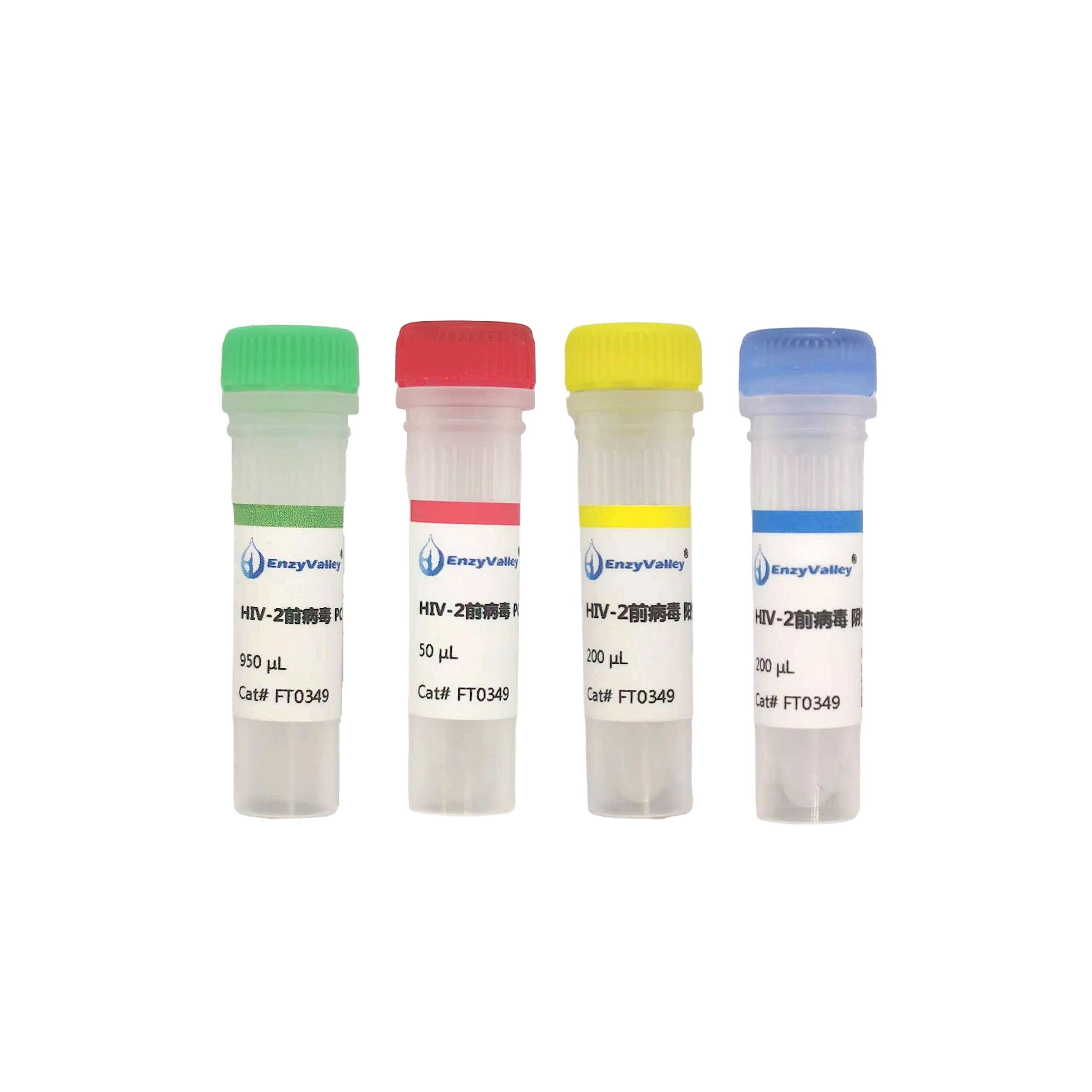HIV-2前病毒探针法荧光定量PCR试剂盒  （FT0349）