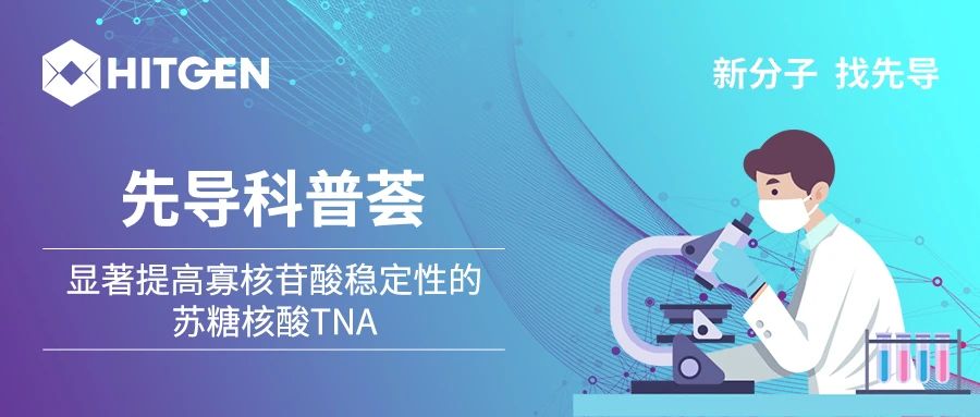 显著提高寡核苷酸稳定性的苏糖核酸TNA