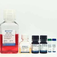 间充质干细胞成软骨诱导分化试剂套装