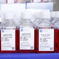 HCT116+GFP 细胞专用培养基| HCT116/GFP细胞 | 镜像绮点（Cellverse）