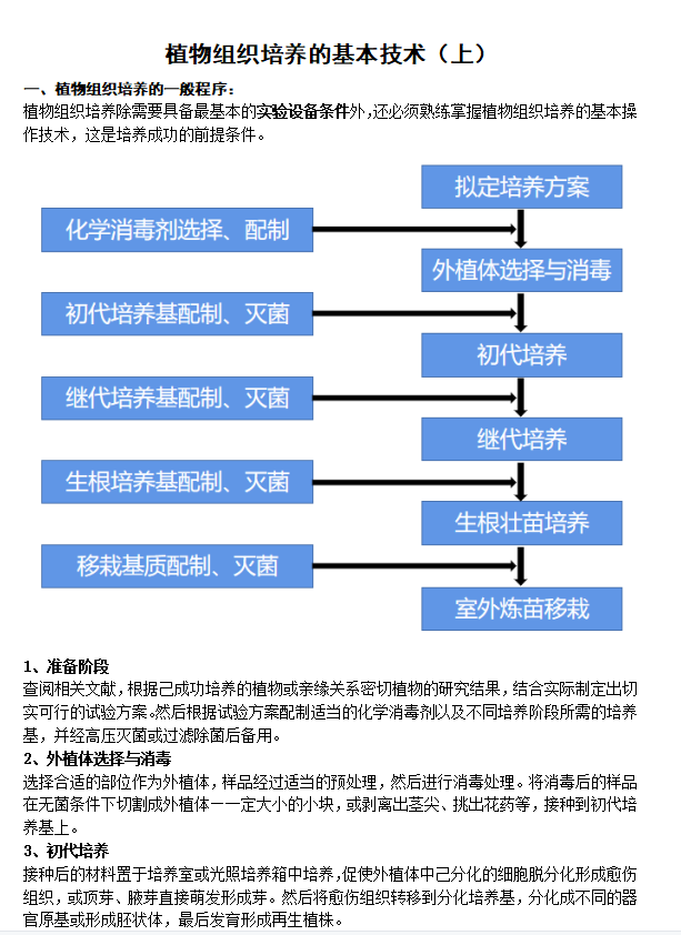 植物组织培养的基本技术（上）