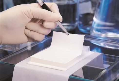 【知识分享】微孔滤膜介绍及选择指南