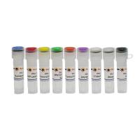 Biotin RNA Labeling Kit (SP6/T7)