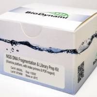 BioDynami NGS DNA片段&文库制备试剂盒