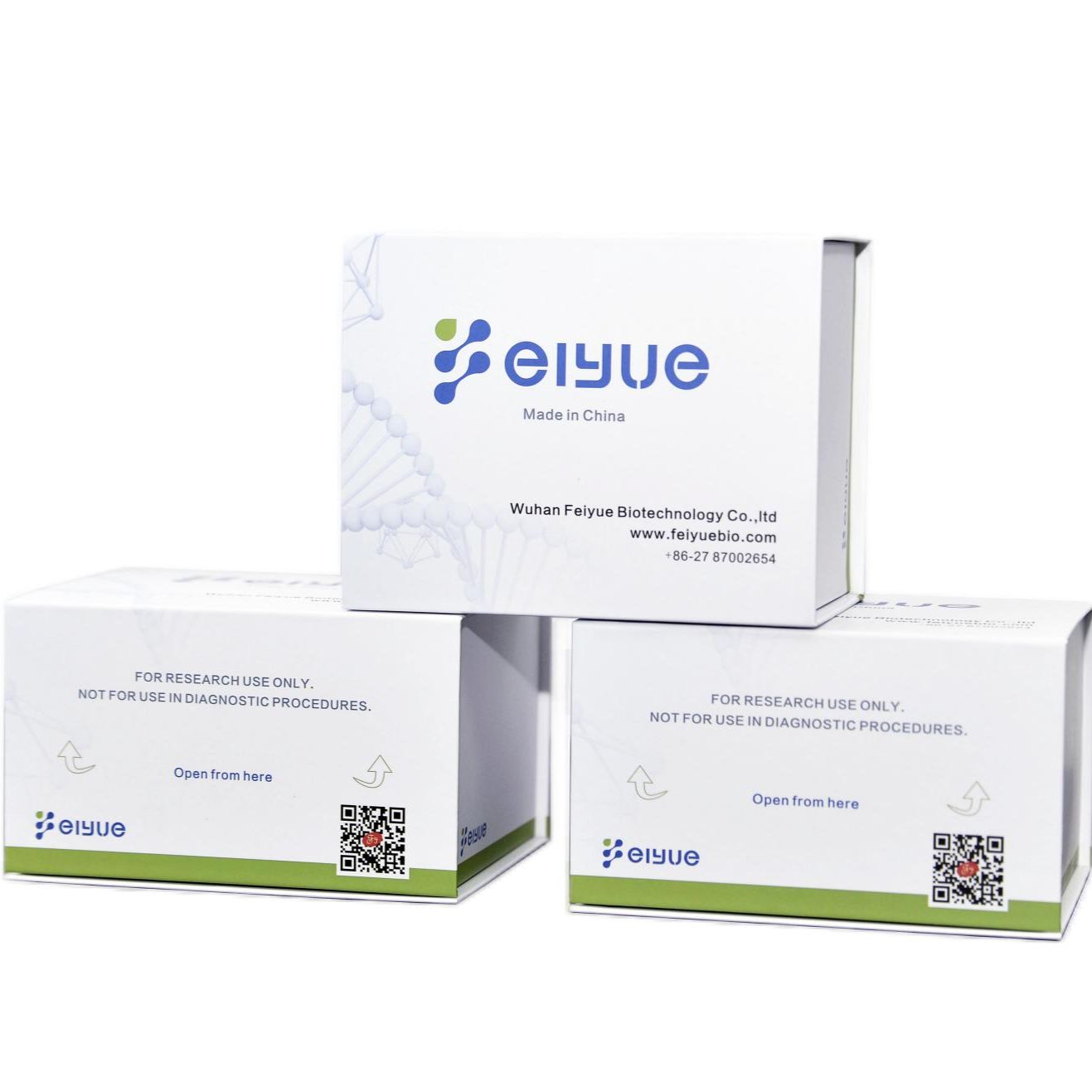 蛋白浓度测定试剂盒（BCA法）