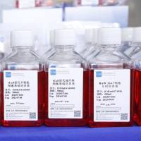 BHK-21细胞专用培养基/镜像绮点（Cellverse）