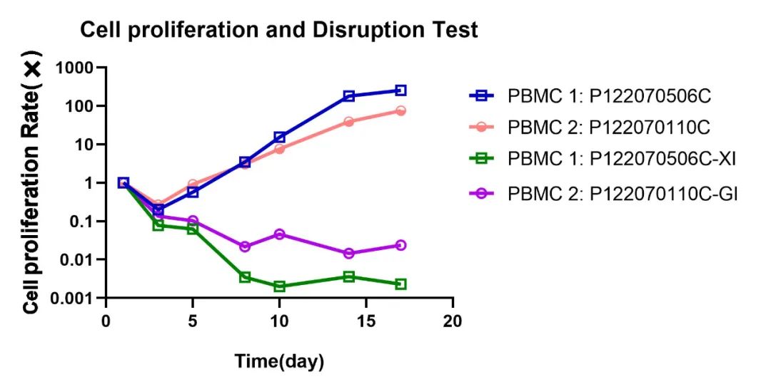 优选hPBMC分离服务 | 辐照后细胞增殖及崩解实验验证