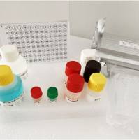 兔糖化血红蛋白A1c(G/H/bA1c)ELISA试剂盒
