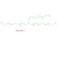 八臂聚乙二醇醛基,8Arm PEG-Ph-CHO,10K