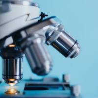 儿茶酚胺类检测