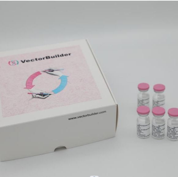 载体构建（促销活动）