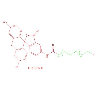 荧光素聚乙二醇生物素,FITC-PEG-Biotin,20K