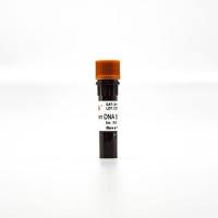 ZH102 EpiGreen安全核酸染料(10,000×)