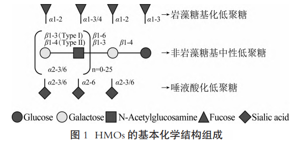 认识母乳低聚糖(HMOs)│结构种类及生物学功能