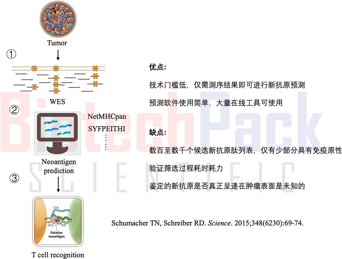产品细节图片3