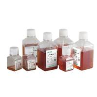 新生牛血清（特征级）(NNC500)