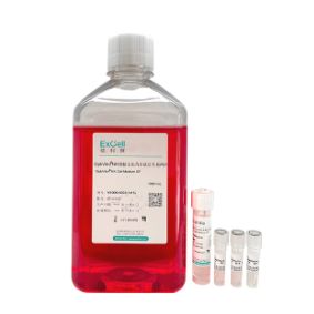 OptiVitro® NK细胞扩增试剂盒 P01（NE000-N022）