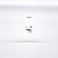 FEN102L RNase抑制剂(40U/μL)