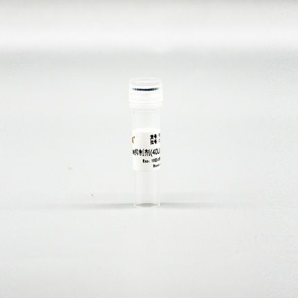 FEN102 RNase抑制剂(40U/μL)