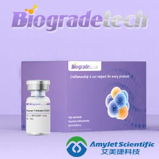 E2标签，鼠单抗（12T4）|Anti-E2 Tag Mouse Mab Antibody(12T4)