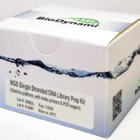 BioDynami NGS单链DNA建库试剂盒