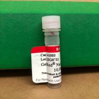 替代EB Biotium 41003核酸染料GelRed上海睿安生物13611631389