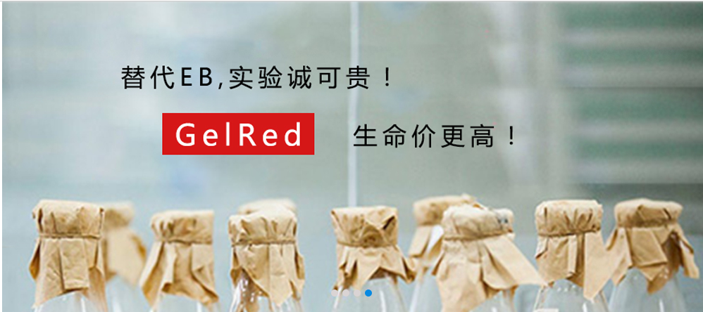 Biotium货号41003核酸染料GelRed(替代EB)上海睿安生物13611631389