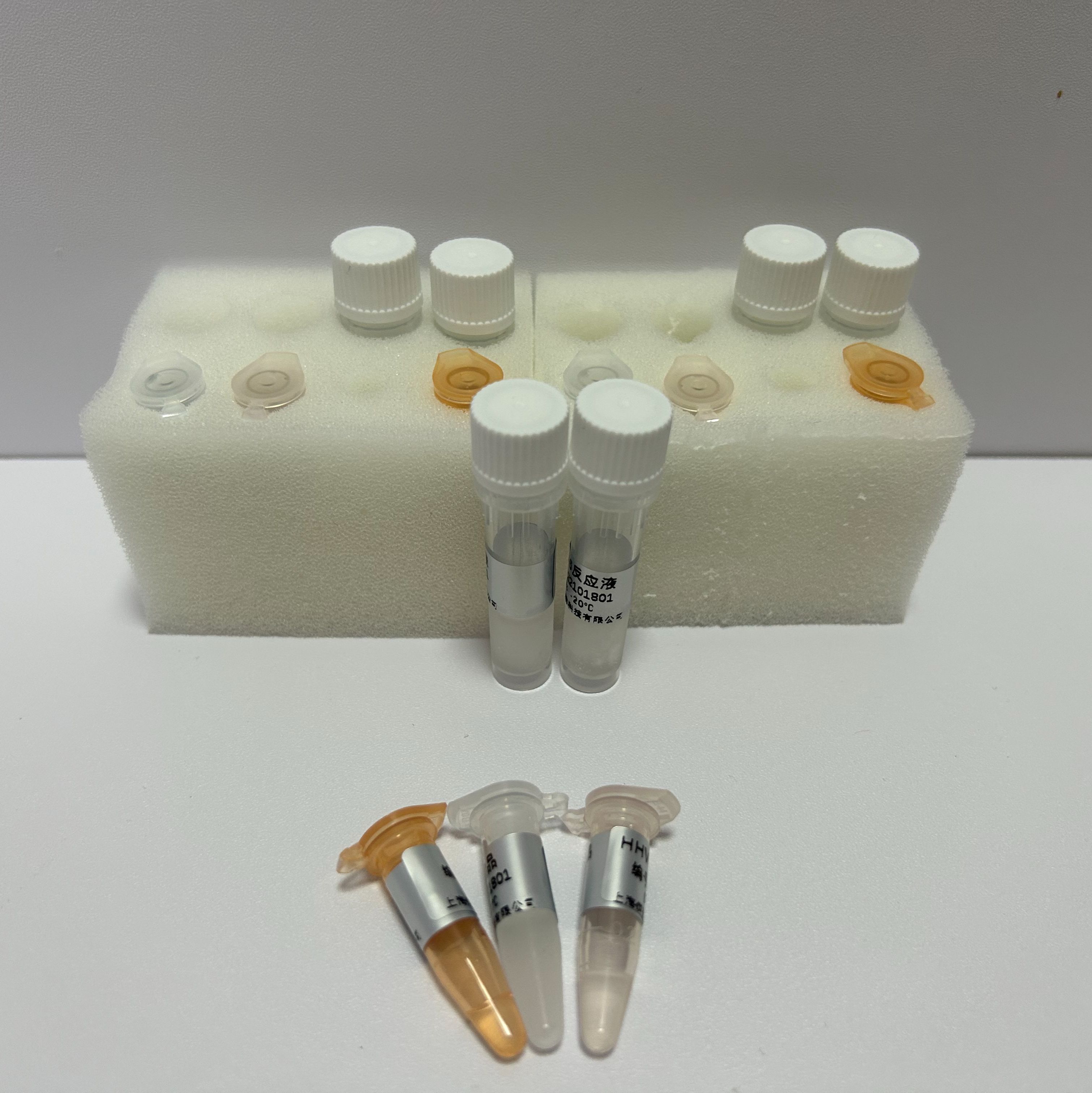 转基因品系油菜HCR-1染料法qPCR试剂盒产品图