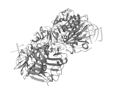 C反应蛋白（CRP）介绍