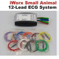 iWorx Systems小动物心电图/肌电图系统 