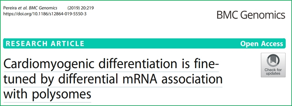 Polysome-boud RNA seq分析例文 --心肌分化过程中的转录（后）调控分析