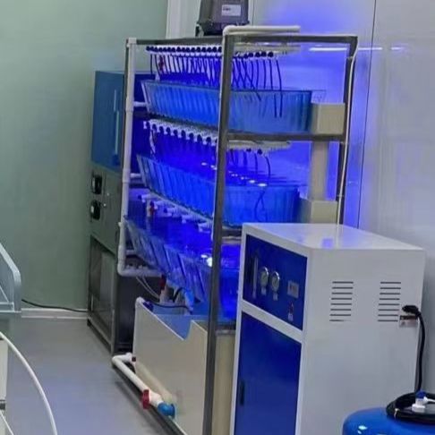 斑马鱼小型养殖系统带纯水仪电导率调节仪ph调节仪