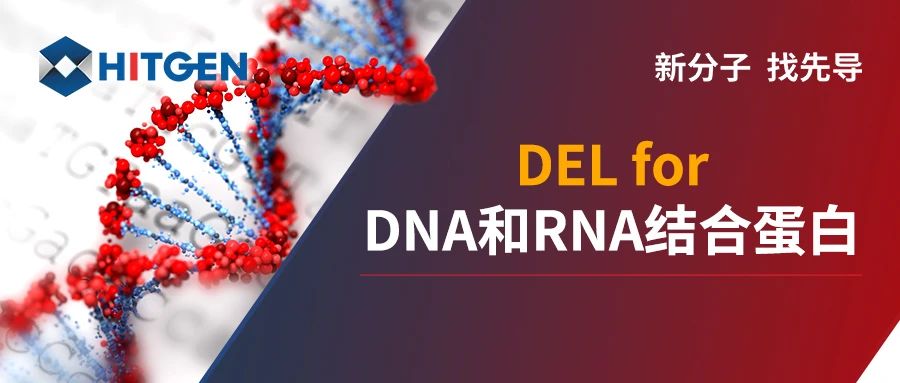 DEL for DNA和RNA结合蛋白