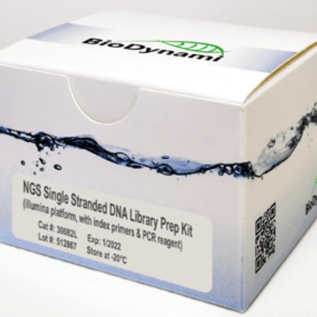 NGS单链DNA文库构建试剂盒