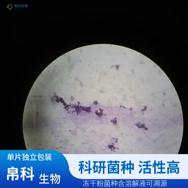 浅紫灰链霉菌