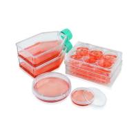  3DSphearo™ 超低吸附表面产品