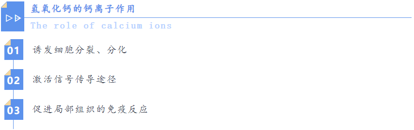 治疗年轻恒牙牙髓病的利器——氢氧化钙